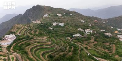 Asir’s Mountain Terraces Emerge as Saudi Arabia’s Coffee Hub